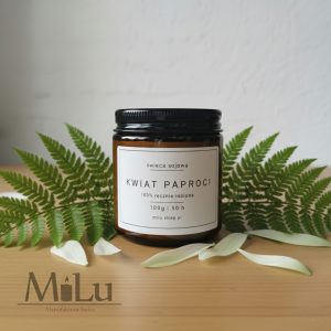 Kwiat Paproci świeca sojowa 100 ml