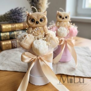 Beżowa Mądrość Sówki MINI